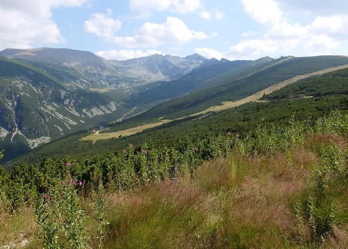 Borovets Apartments, Iglika 2